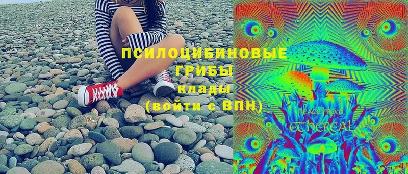 Галлюциногенные грибы Magic Shrooms  Красноуфимск 