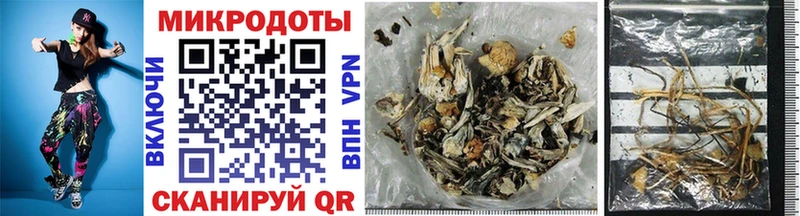Псилоцибиновые грибы Psilocybe  Красноуфимск 