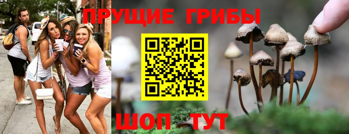 Псилоцибиновые грибы Psilocybe  Красноуфимск  Галлюциногенные грибы Magic Shrooms 