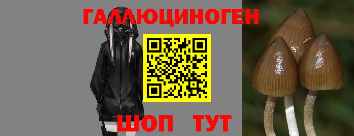 Псилоцибиновые грибы GOLDEN TEACHER Красноуфимск
